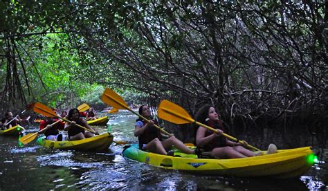 Fajardo Bioluminescent Kayaking Puerto Rico Tour Bio Bay