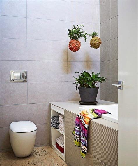 Plants In The Bathroom The Cheapest Way To Decorate Bathroom Plants