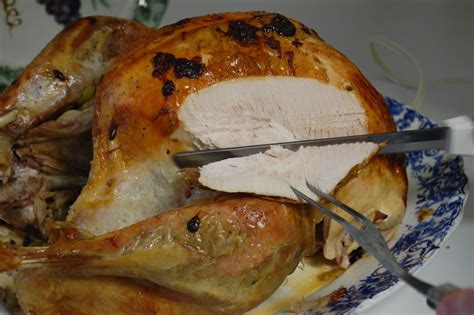 thanksgiving the scientific difference between white dark turkey meat