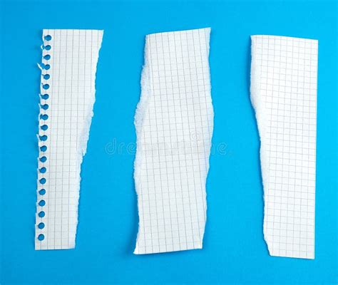 Torn Strips Of Paper From A School Notebook Into A Cell Stock Image