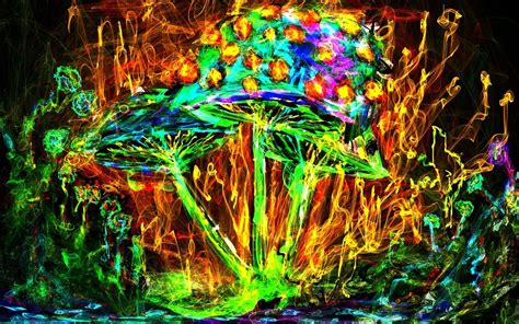 Rainbow Trippy Art Mushroom Img Solo