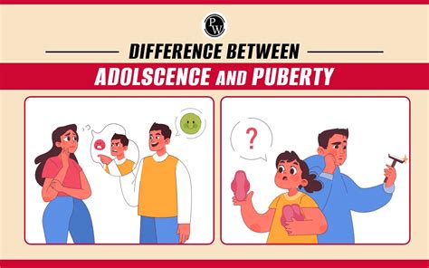 Difference Between Adolescence And Puberty