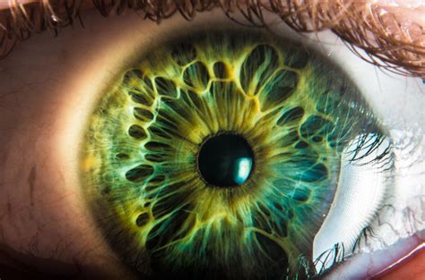 eye iris pupil 目 œil глаз occhio ojo color texture pattern macro horror