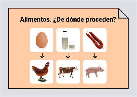 Alimentos ¿de Dónde Proceden Vocabulario Soyvisual