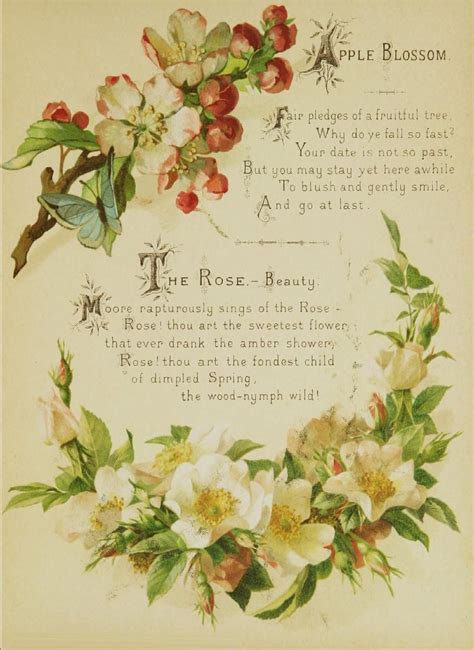Check spelling or type a new query. The Artistic language of flowers : Free Download, Borrow ...