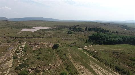 JAMESTOWN: FARM FOR SALE- TIMED AUCTION - BKB Events