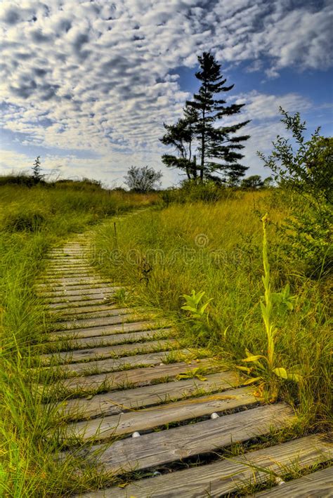 Kenosha Luce Della Testata Del Molo Di Wisconsin Fotografia Stock