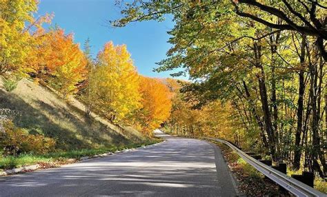 The Best Fall Drives In Every Part Of Michigan