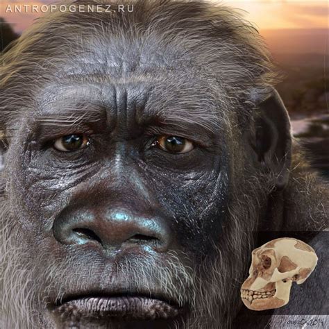 Homo Habilis Reconstruction By Bigfoot Art Bigfoot