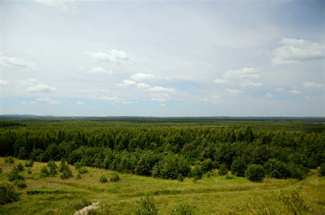 Free Images : landscape, tree, nature, forest, horizon, marsh, mountain, cloud, sky, field ...