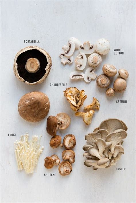 A Guide To Mushrooms Stuffed Mushrooms Food Food Facts