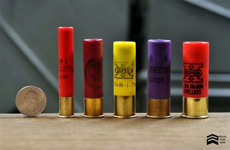 Shotgun Gauges Vs Shotgun Calibers Reload Your Gear