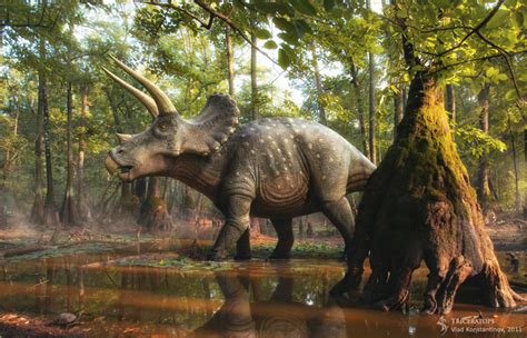 Triceratops Paleontology World