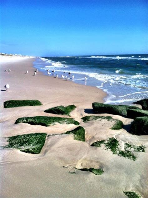 Hurricane Sandy On Long Beach Island Nj