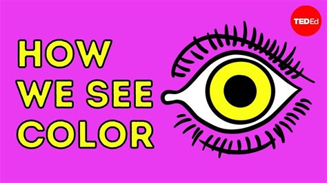 How We See Color Colm Kelleher เนื้อหาnight Blindness คือที่มี
