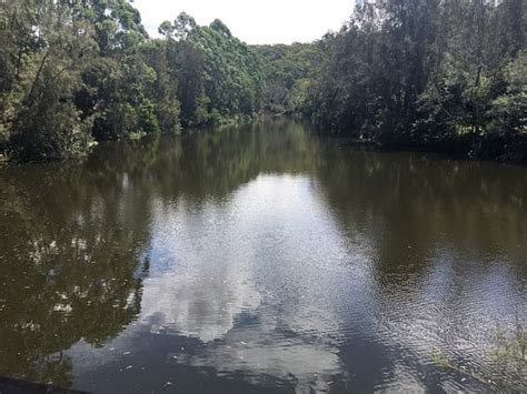 Lane Cove National Park Macquarie Park Updated 2021 All You Need To