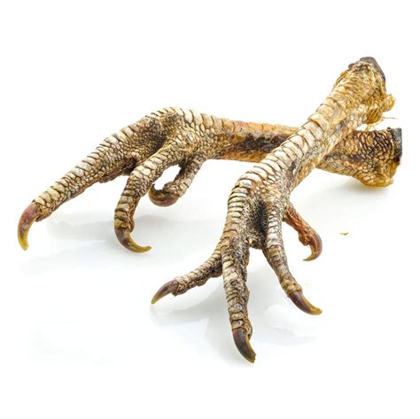 Soups, generally served before the main dish. Natural Turkey Feet Treats for Dogs - JR Pet Products