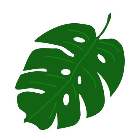 Green Palm Leaf 5205673 Vector Art At Vecteezy