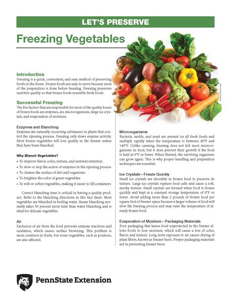 Freezing Vegetables Successful Freezing Wic Works Resource System