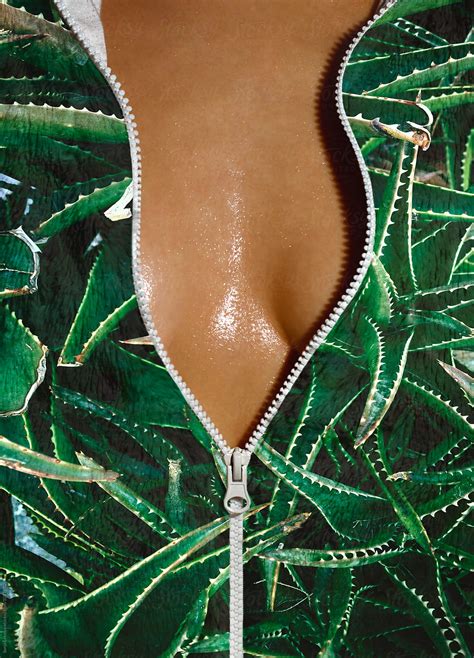 Torso In Cactus Shirt Closeup By Stocksy Contributor Sonja Lekovic