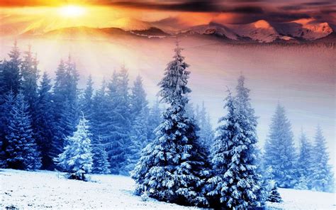 Winter Desktop Wallpaper ·① Download Free Cool High