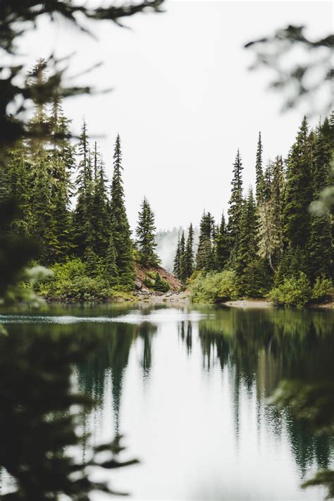 Masonstrehlphoto Peek Through The Trees Mason Strehl Instagram