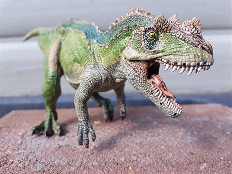 Ceratosaurus Papo Dinosaur Toy Blog