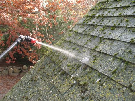 How To Remove Lichen And Moss From Your Roof Fine Homebuilding