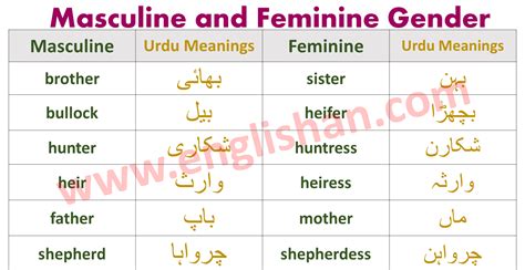 100 Examples Of Masculine And Feminine Gender List