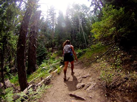 East Mt. Baldy Trail - Greer, AZ Greer, Arizona, Trail, Road Trip, East