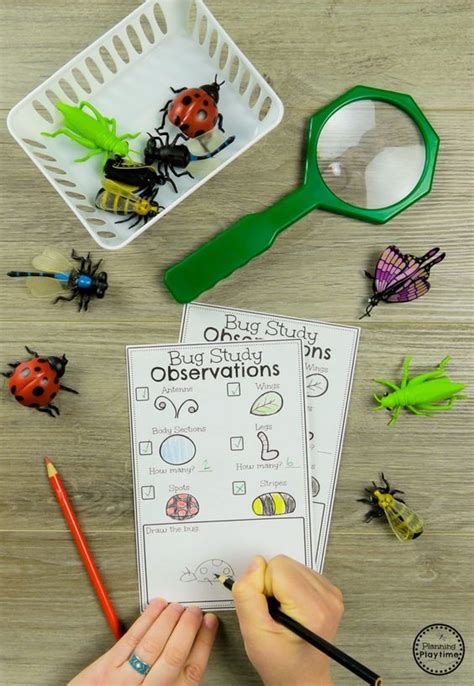 Bug Activities Preschool Science Activities Preschool Bug Theme Bug