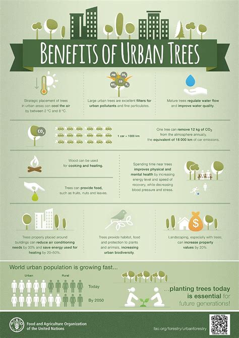 Benefits Of Urban Trees Sustainable City Sustainable Design