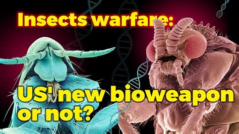 Insects Warfare Us New Bioweapon Or Not Youtube