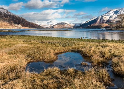 Free Images Landscape Sea Coast Nature Grass Marsh Wilderness