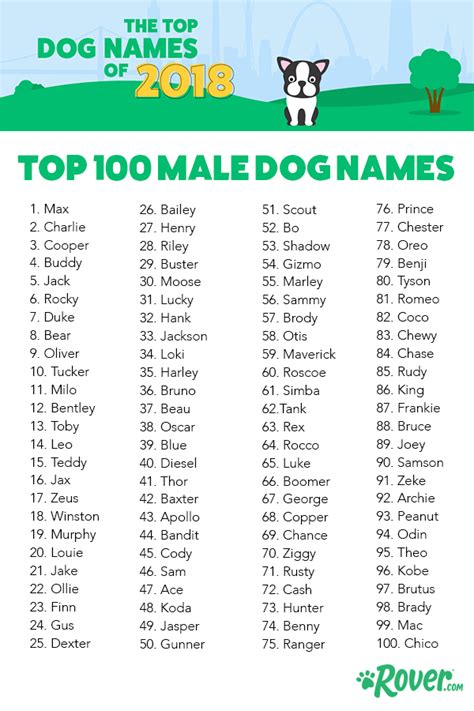 Most Popular Dog Names In The Usa Dog Names Male Puppies Names