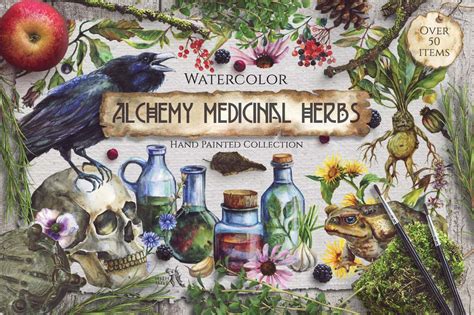 Watercolor Alchemy Medicinal Herbs 42349 Illustrations Design Bundles