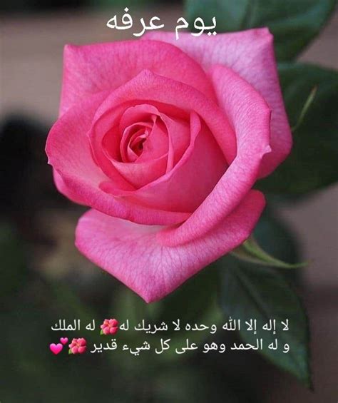 8fb w 5.141 views1 year ago. يوم عرفه 🌹 لبيك اللهم لبيك 🌸 لبيك لا شريك لك لبيك 🌸 🦋لبيك ...