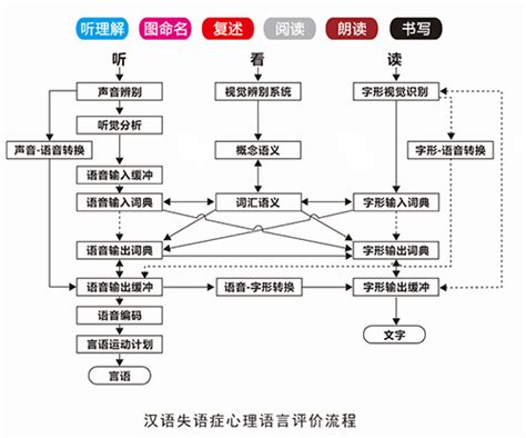 汉语失语症心理语言评价与训练系统-深圳市皓之诺科技有限公司