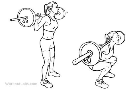 Barbell Squats Barbell Squat Squats Workout Guide