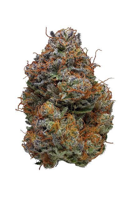 Blackberry Kush Strain Hybrid Cannabis Review Cbd Thc Terpenes