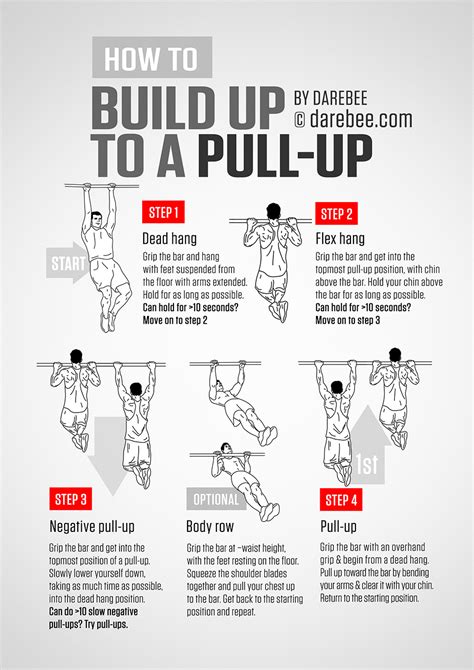Beginner Pull Up Routine The Hive