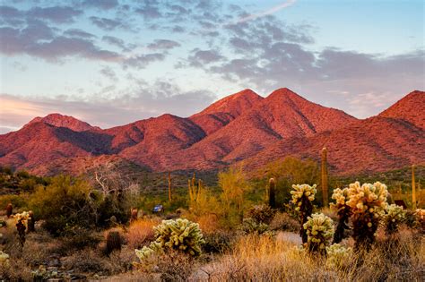 A Design Lover's Guide to Scottsdale, Arizona—Frank Lloyd Wright's ...