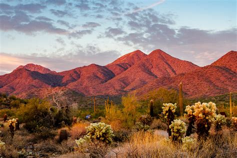Time lapse of az desert landscape with big saguaro cactus. A Design Lover's Guide to Scottsdale, Arizona—Frank Lloyd ...