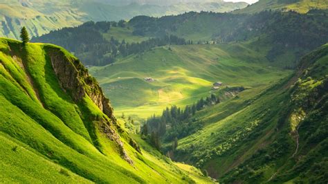 Aerial View Of Green Grass And Trees Covered Mountains Hd Nature