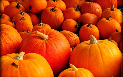 43 Autumn Pumpkins Desktop Wallpaper