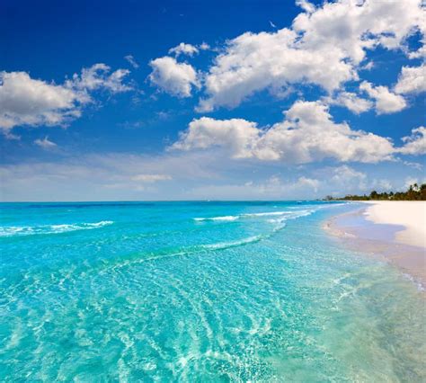 17 Best Beaches In Florida You Must See Florida Trippers