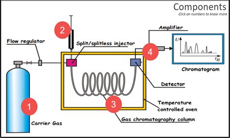 Gas Chromatography Diagram