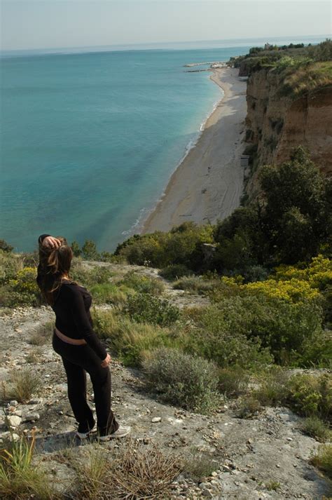 While established in 1996, since late. Travelex Travel Insurance Review | Travelex Reviews
