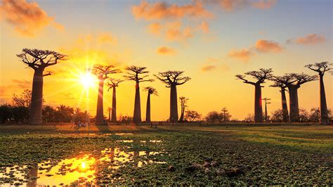 Despite having considerable natural resources, madagascar has among the highest poverty rates in the world. 10 Things To Know Before You Travel To Madagascar | AFKTravel