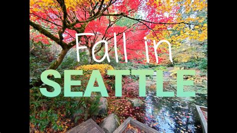 Fall Foliage In Seattle Washington 🍁 Youtube